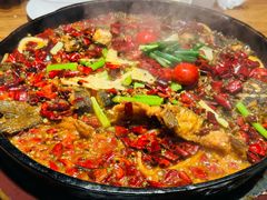 -老板恋上鱼(恒隆广场店)