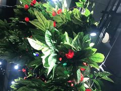 -草原塞蛮羊火锅城(港湾店)