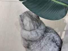 -Oasis绿洲银饰珍珠手作diy(壹方城店)