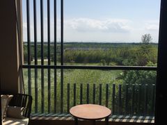 -上海崇明金茂凯悦酒店