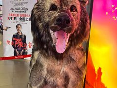 -卢米埃影城(住总万科杜比全景声激光店)