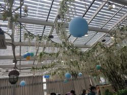 -帆拉斐婚纱摄影(春熙店)