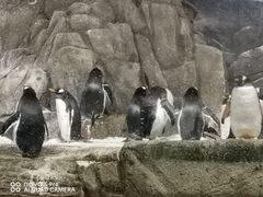 -成都浩海立方海洋公园