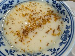 桂花豆花-欧记大排档·景德菜(上海首店)