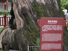 -黄帝陵