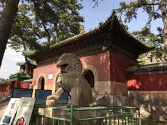 门前石狮-普乐寺