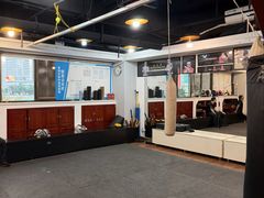 -温鉴良实用咏春拳