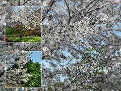 -白塘生态植物园