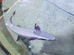 -鸿通城购物中心