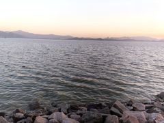 -深圳湾公园(南山区)
