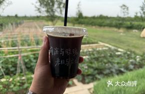 Xingshan American Coffee