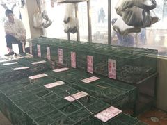 -荔城生鲜盛宴(番禺旗舰店)