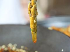 -靓蛙馆