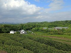 -中国茶叶博物馆(双峰馆区)
