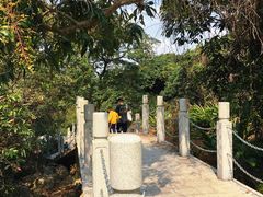 -阳台山森林公园