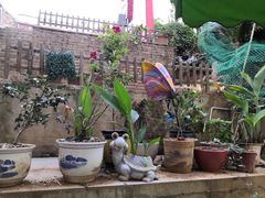 -鱼乐岛餐厅·户外花园主题餐厅
