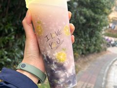 冰酒酿-罗子龙罗家桂花汤圆(曹都巷店)