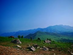 -灵山