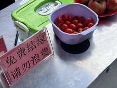 -高庙保安寺