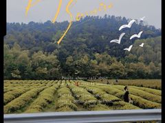 -东钱湖旅游度假区