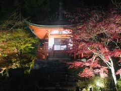 -醍醐寺