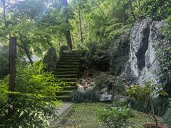 -嘉龙茶庄