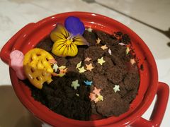 -ins森林童话餐厅coffee&bistro