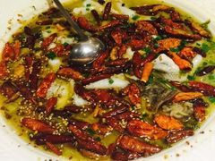 -九毛九西北菜(百信广场店)