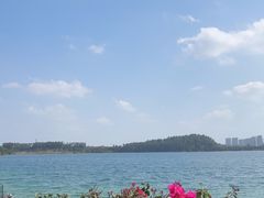 -露天矿生态公园