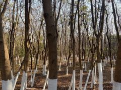 -艾溪湖湿地公园