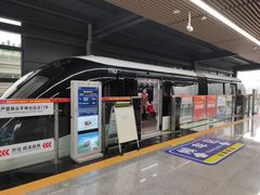 -新概念来凤鱼(璧山店)