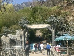 -王顺山国家森林公园