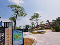 -广州白江湖森林公园