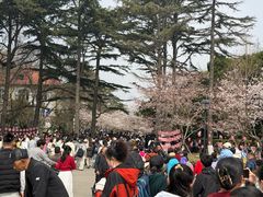 -青岛海滨风景区