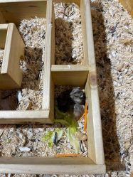 -酷嗒动物文化乐园(cutezoo西溪乐天城店)