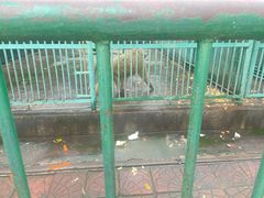-秦皇岛野生动物园