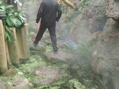 幽兰花谷-南通洲际绿博园