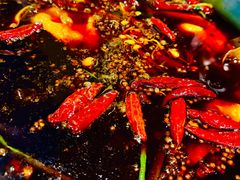 -大龙火锅(老店)