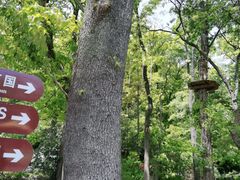 -WeLope紫金山探险公园
