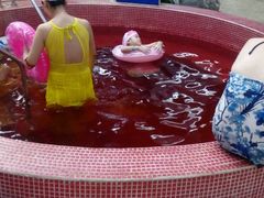 -天泉水都(子固路馆)