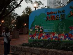 -九龙公园