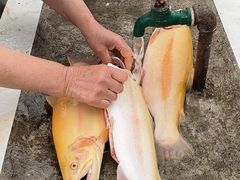 -回头客餐厅·家的味道农家菜·虹鳟鱼·铁锅炖(雁栖湖店)