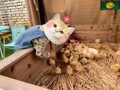 -HERRE·FARM 赫尔露营农场·团建聚会包场