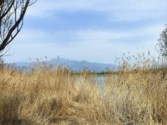 -野鸭湖国家湿地公园