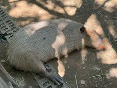 -宁波野生动物园