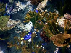 -福州罗源湾海洋世界旅游区