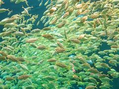 -海合安青岛极地海洋公园