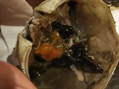 -黄记大闸蟹专卖店·活蟹·醉蟹