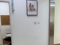 -美联众合动物医院·24h京西诊疗中心