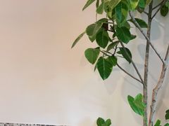 -山茶云南菜(中关村店)
